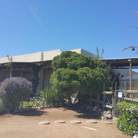 The Stables Accommodation Langebaan Eksteriør bilde
