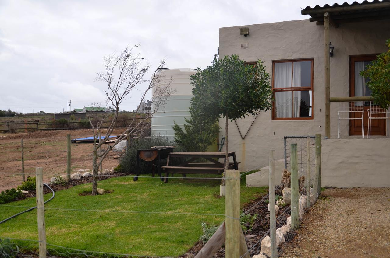 The Stables Accommodation Langebaan Eksteriør bilde